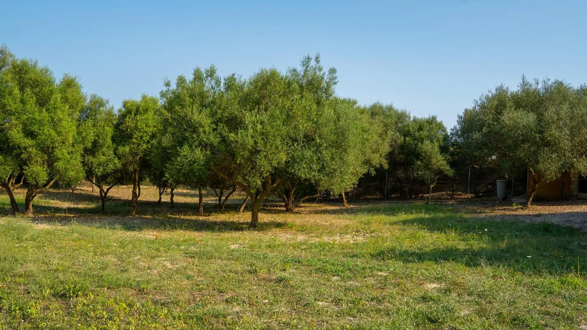 Daire Ses Cases D'Alcudiola Santa Margalida